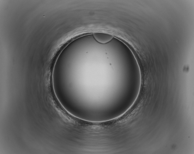 X0000096161507200801181213