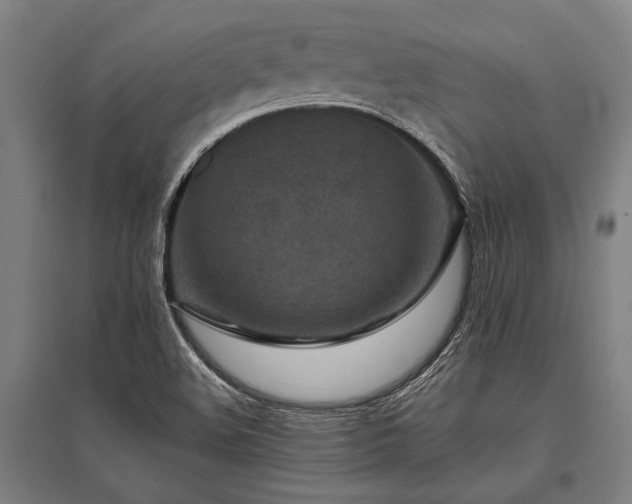 X0000096161508200801181213