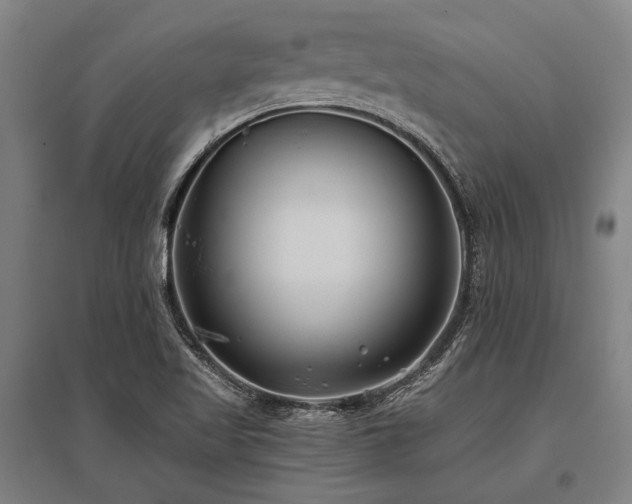X0000096161509200801181213