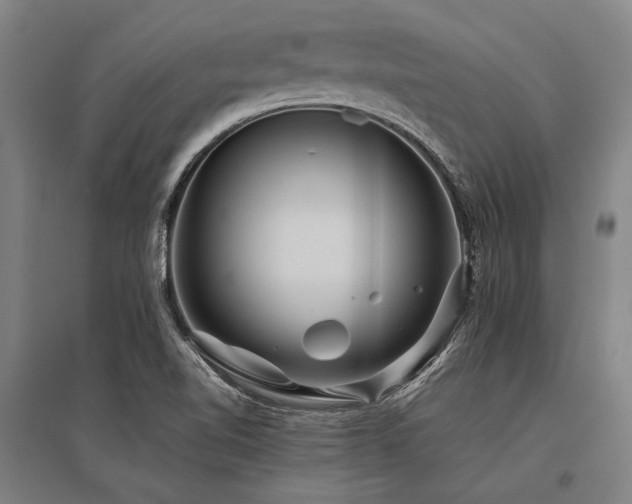 X0000096161510200801181213