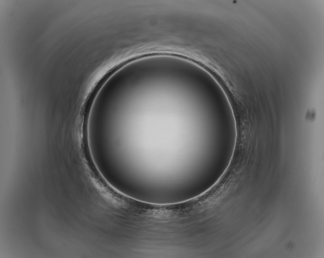 X0000096161511200801181213