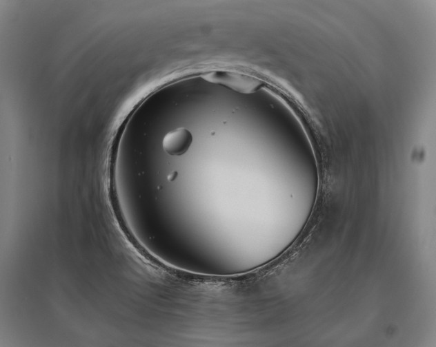 X0000096161512200801181213
