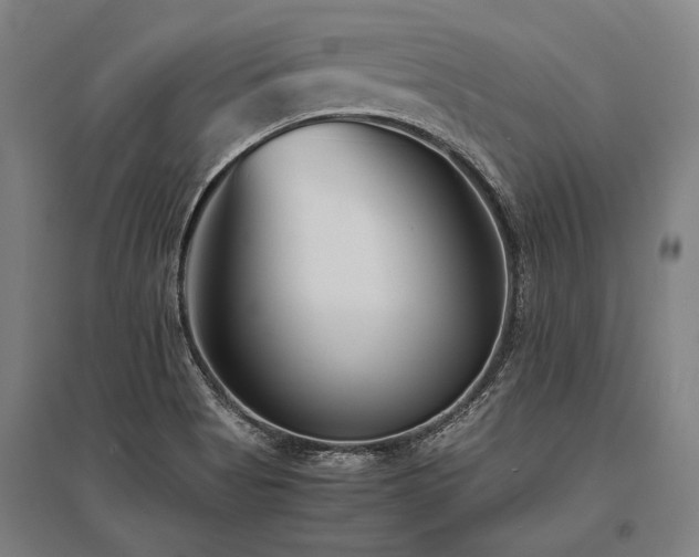 X0000096161513200801181213