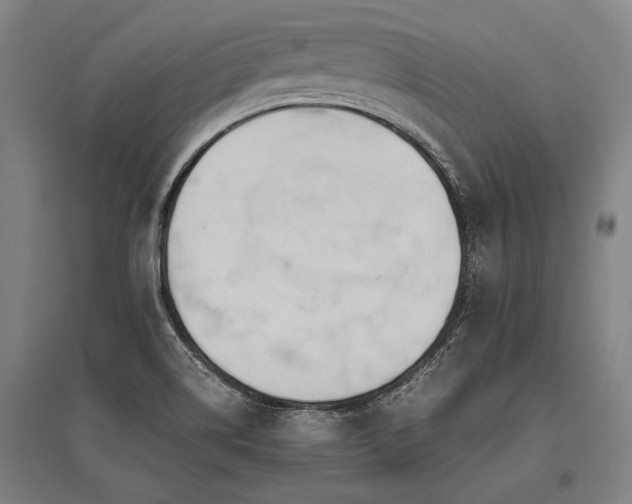 X0000096161514200801181213