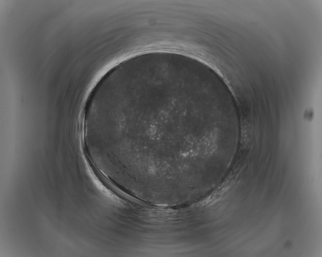 X0000096161515200801181213