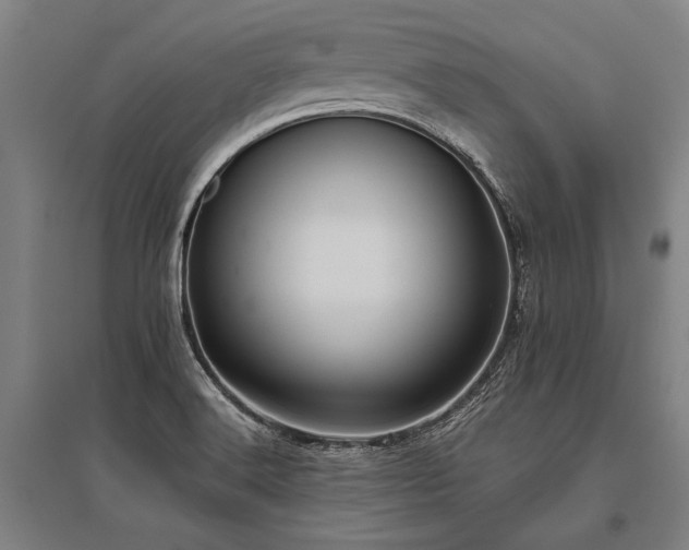 X0000096161516200801181213