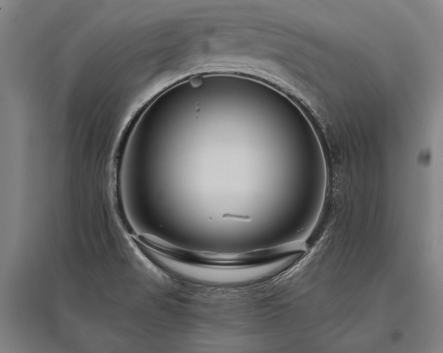 X0000096161517200801181213