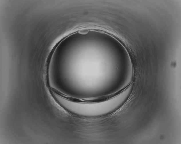 X0000096161518200801181213