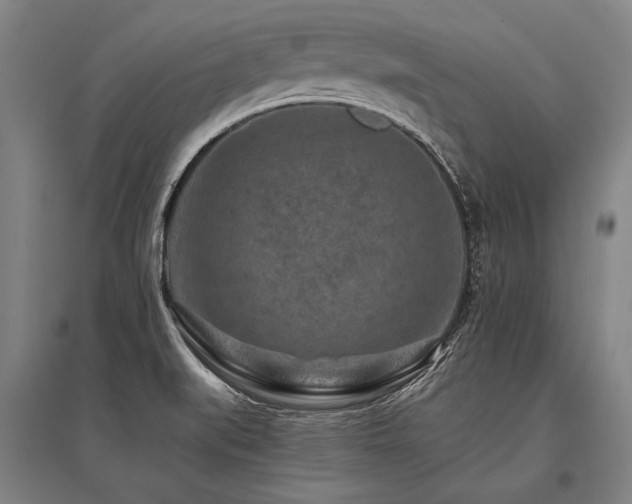 X0000096161519200801181213