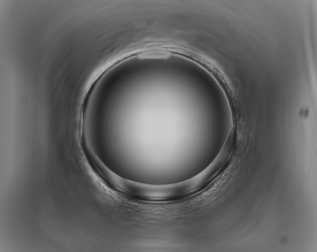 X0000096161520200801181213