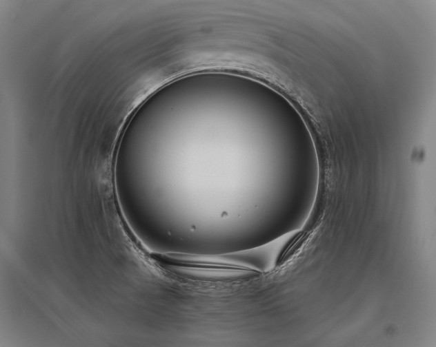 X0000096161521200801181213