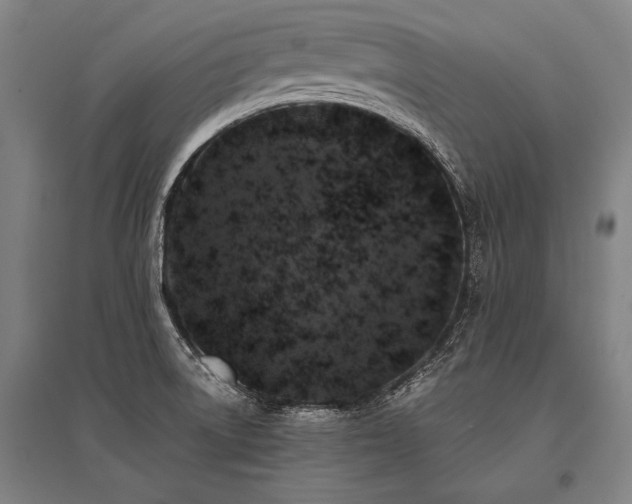 X0000096161522200801181213