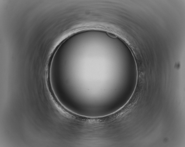 X0000096161523200801181213