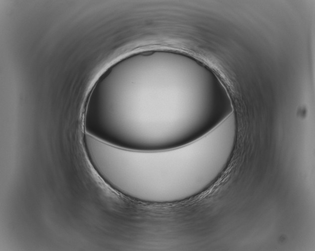 X0000096161524200801181213