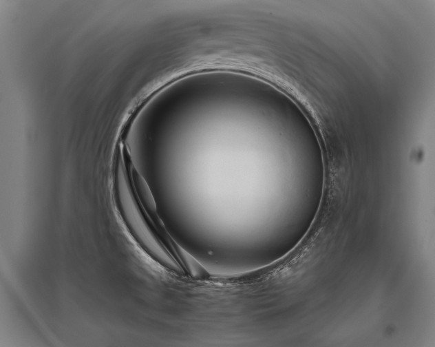 X0000096161525200801181213