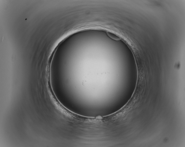 X0000096161526200801181213