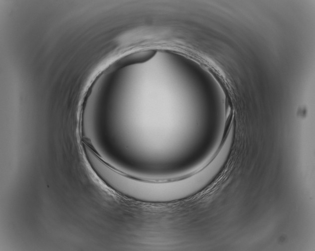 X0000096161528200801181213