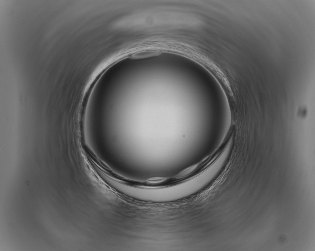 X0000096161530200801181213