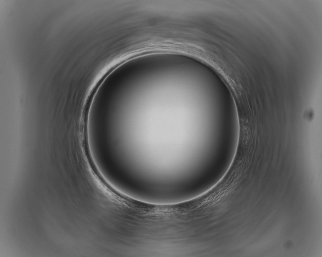 X0000096161531200801181213