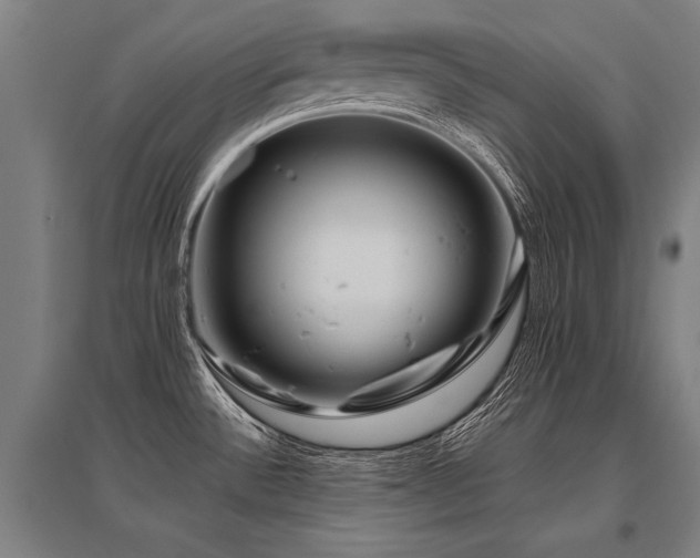X0000096161532200801181213