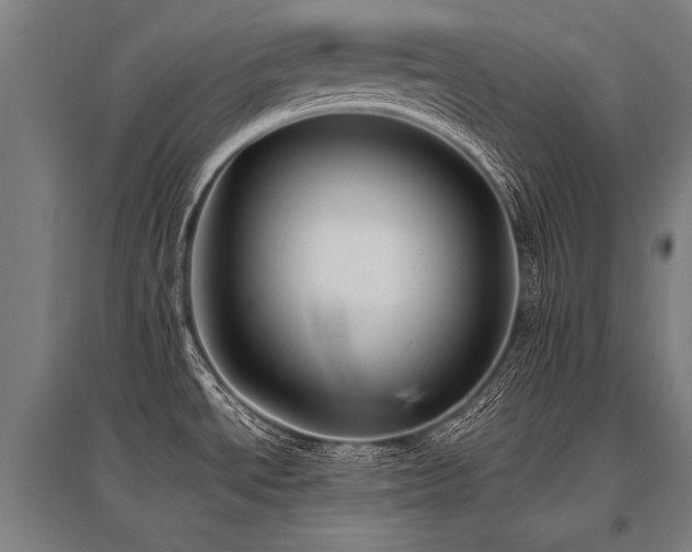 X0000096161534200801181214