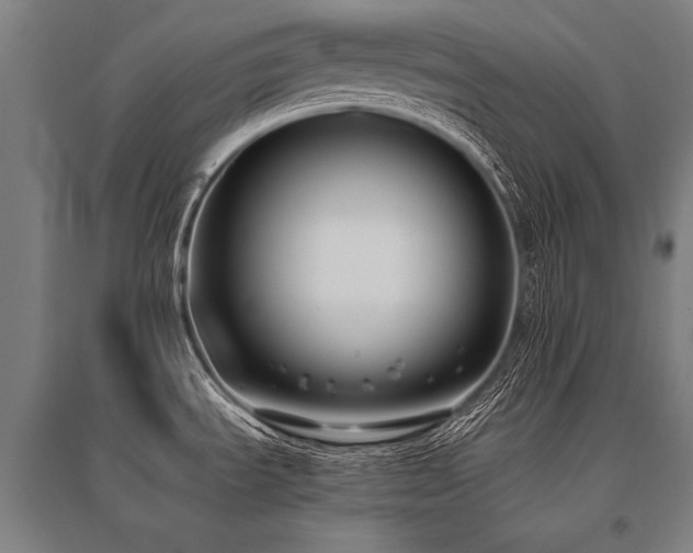 X0000096161535200801181214
