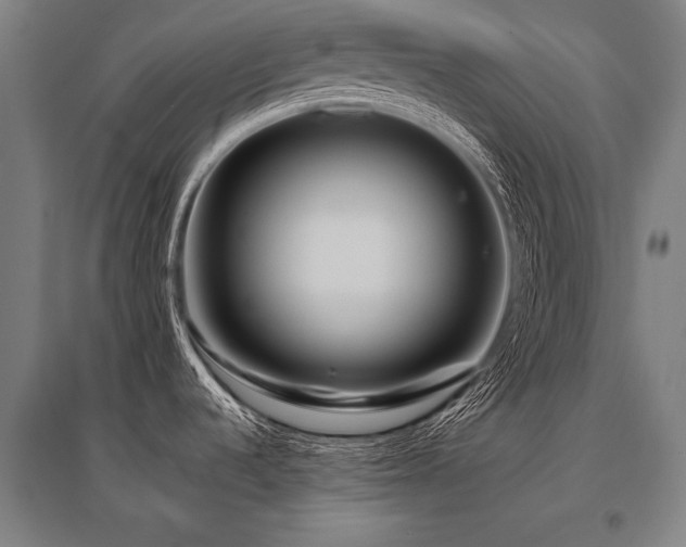 X0000096161536200801181214