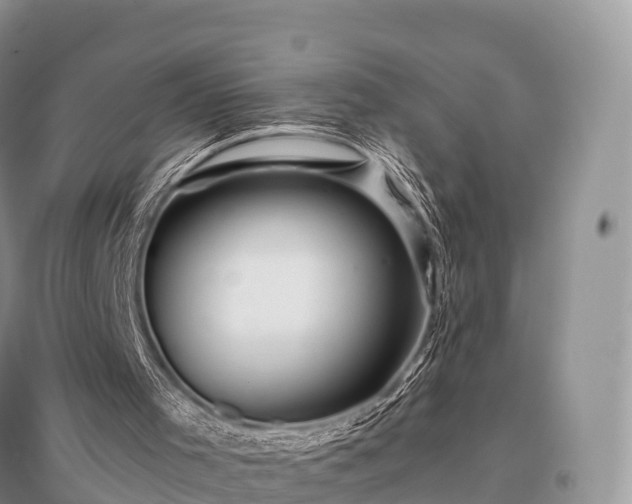 X0000096160001200801251138