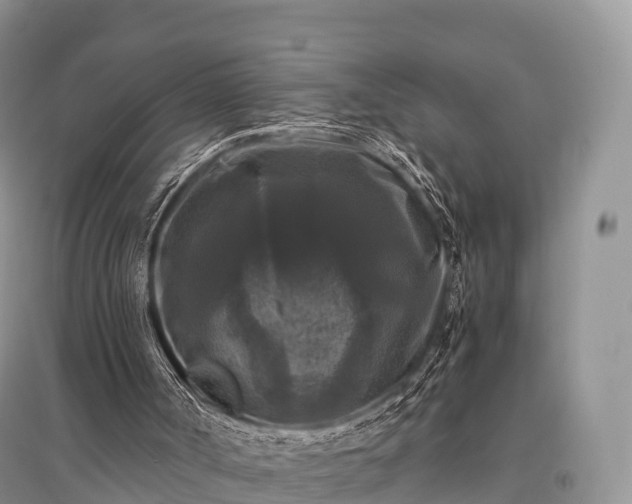 X0000096160002200801251138