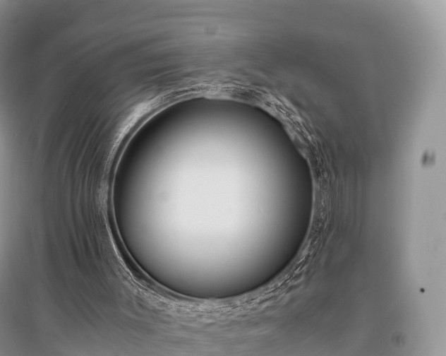 X0000096160003200801251138