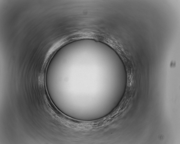 X0000096160004200801251138