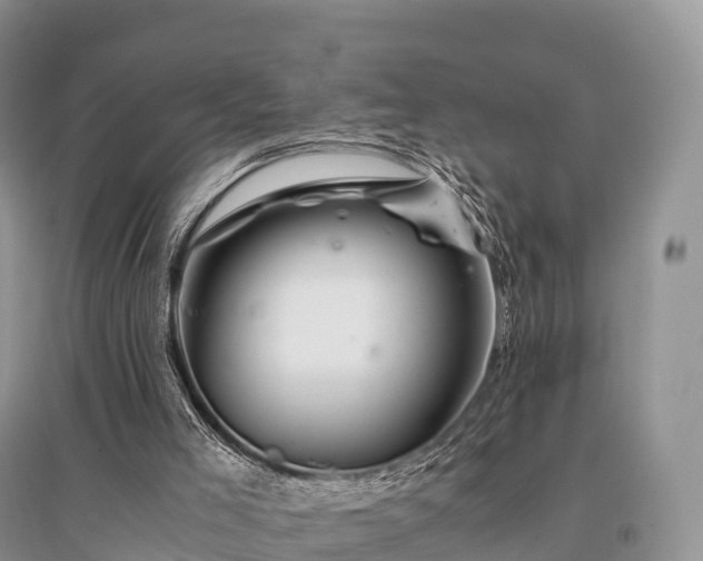 X0000096160005200801251138