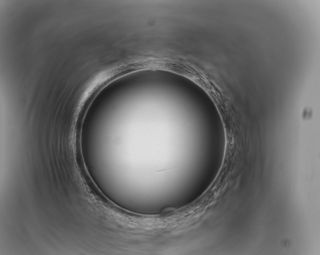 X0000096160006200801251138