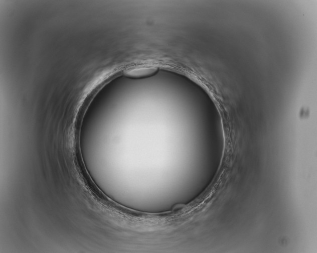 X0000096160008200801251138