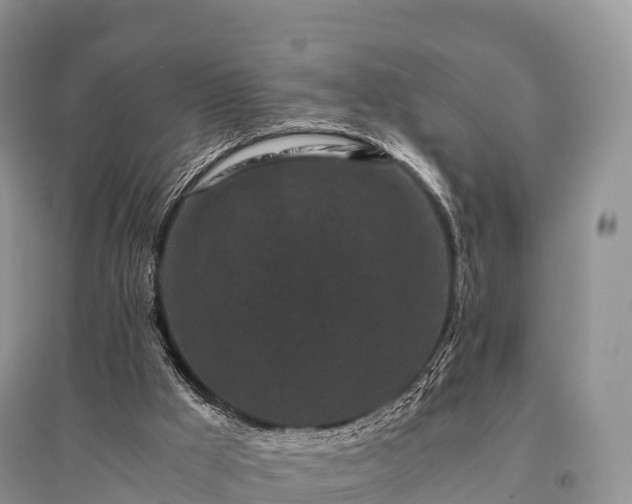 X0000096160009200801251138