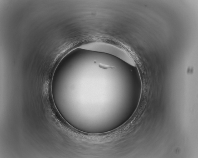 X0000096160010200801251138