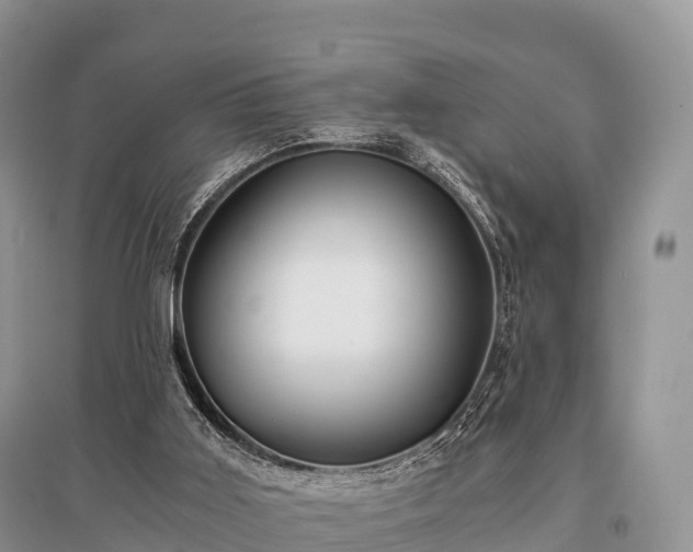 X0000096160011200801251138