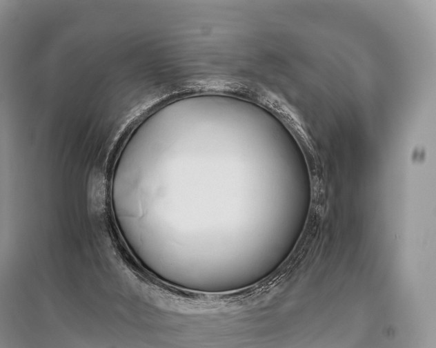 X0000096160012200801251138