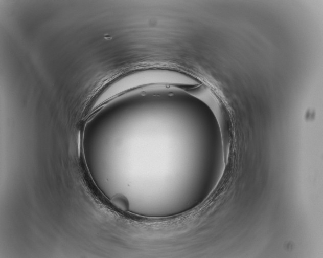 X0000096160013200801251138