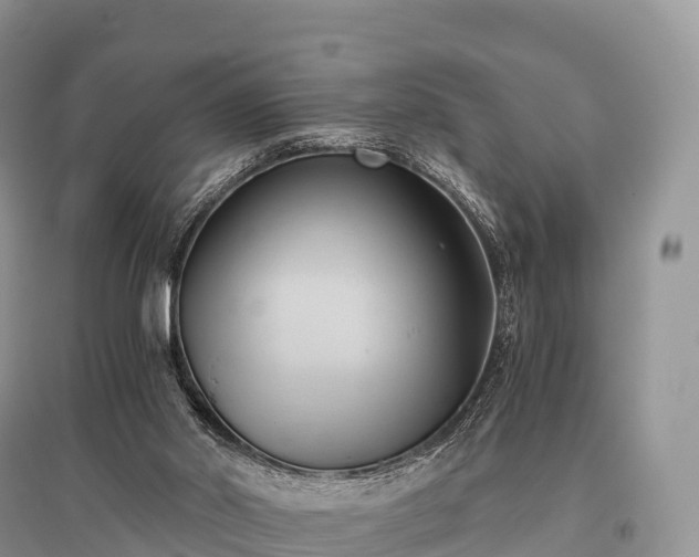 X0000096160014200801251138