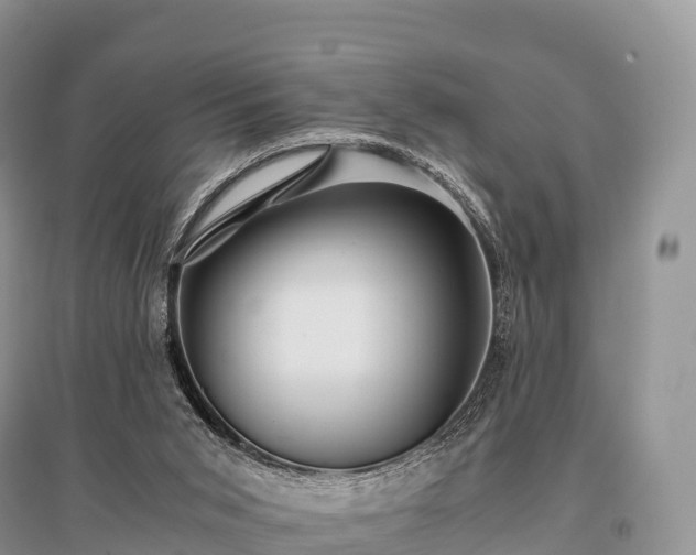 X0000096160015200801251138