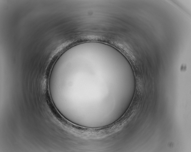 X0000096160016200801251138