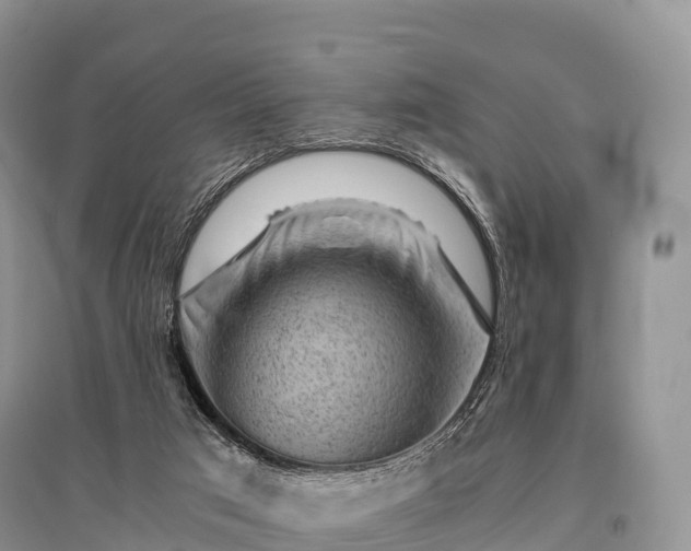 X0000096160017200801251138