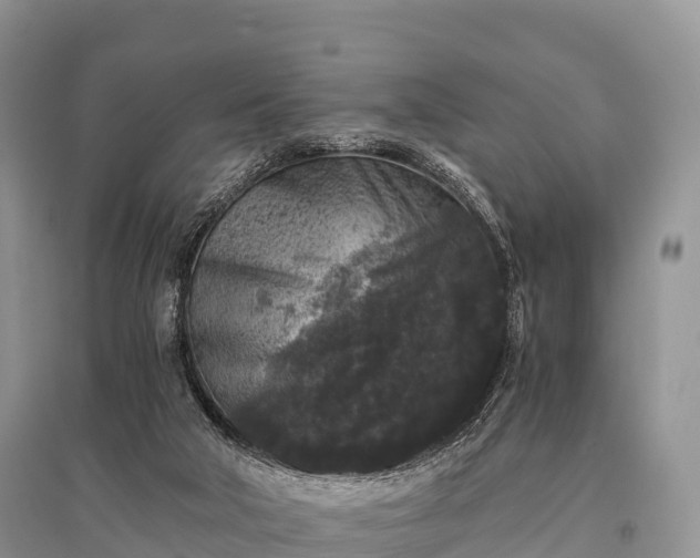 X0000096160018200801251138