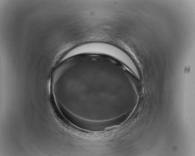 X0000096160019200801251138