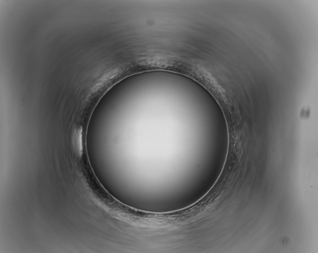 X0000096160020200801251138