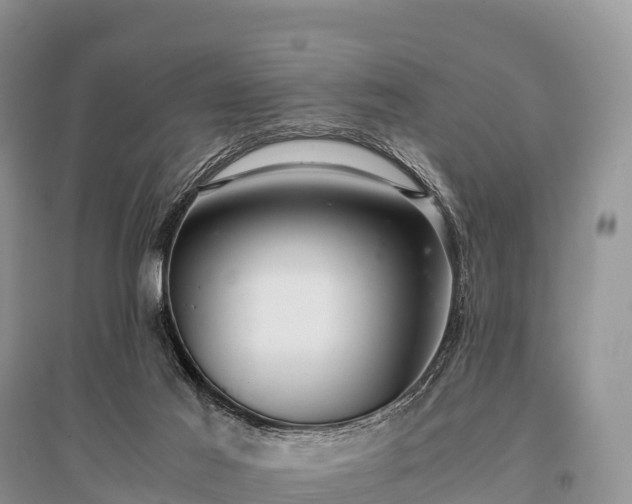 X0000096160021200801251138