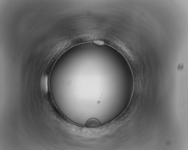 X0000096160022200801251138