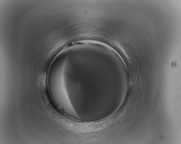 X0000096160023200801251138