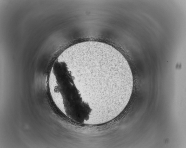 X0000096160024200801251138